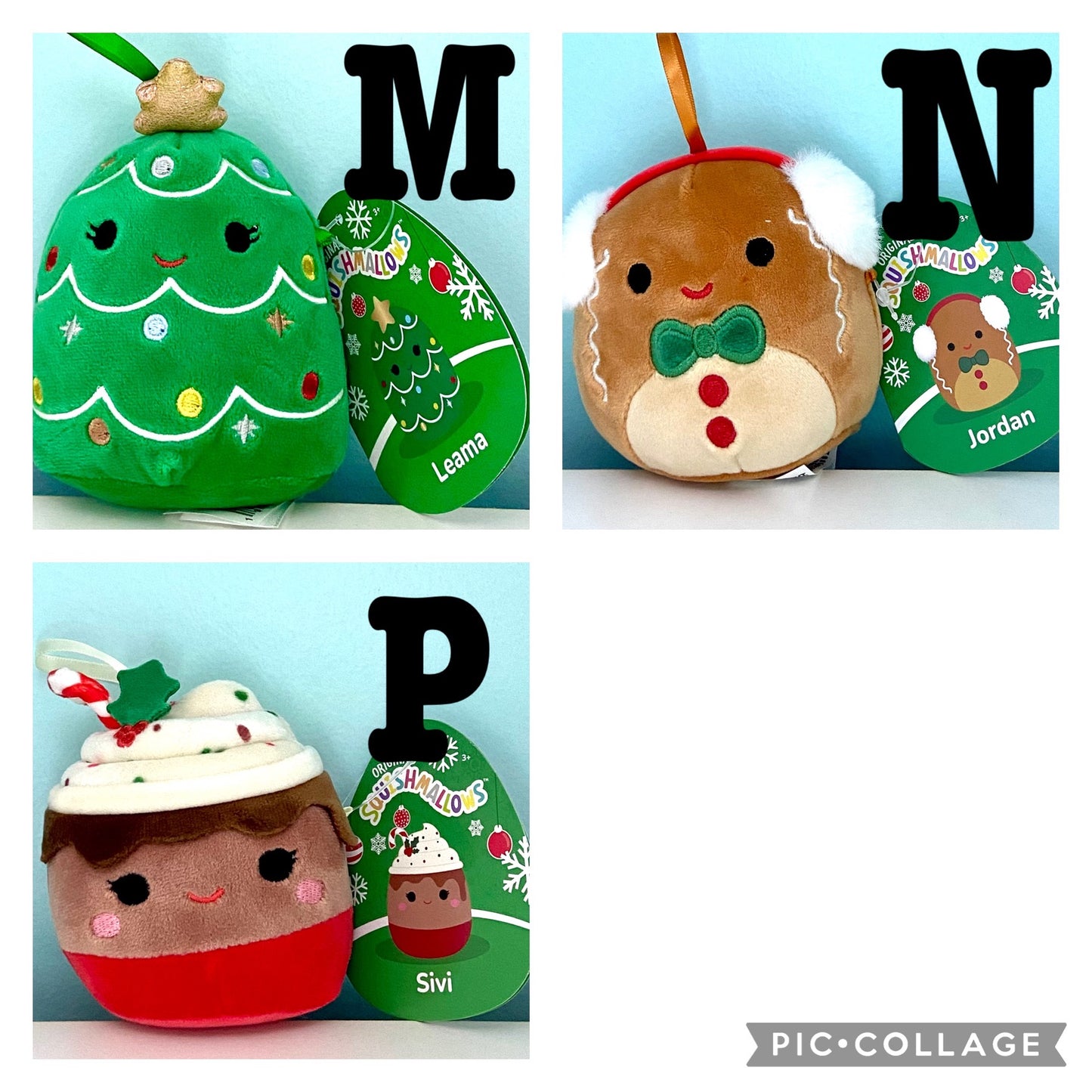 Personalized Winter Squishmallow Ornament 4"